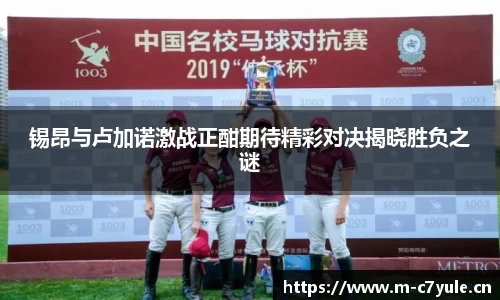c7娱乐平台