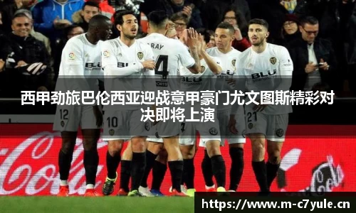 c7娱乐官网