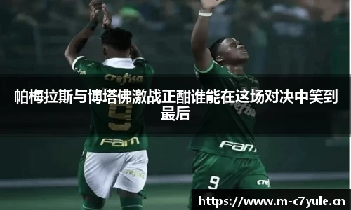 c7娱乐官网